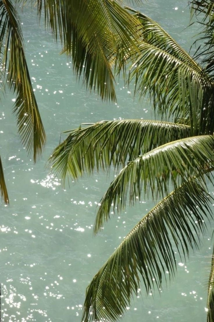 Palm and Pine - Ocean Jar Candle